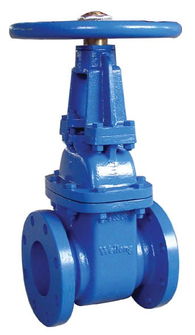 丹東球墨鑄鐵軟密封閘閥的特點與應(yīng)用